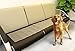 FastEngle Pet Training Mat Electronic Dog Cat Coaching Mat Sofa Indoor