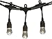 Enbrighten Classic Warm White String Lights, 36ft Black Cord, 18 Shatterproof Acrylic Bulbs, Weatherproof, Outdoor String Lights, 33171