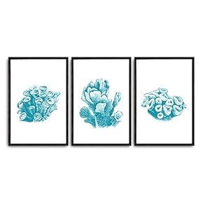 3 Piece Framed Canvas Wall Art Simple Seabed Elements Canvas Prints Home Artwork Decoration for Living Room,Bedroom - 16"x24"x3 Panels