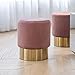 Art Leon Small Round Velvet Ottoman, Upholstered with Gold Plating Base Footstool Rest Extra Seat, Pack of 1 (Rose Pink)