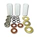 AR North America 18mm Piston Kit - RK, RKA, RKV