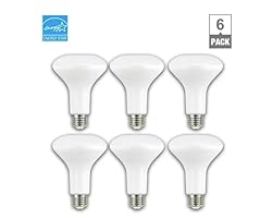 EcoSmart 65-Watt Equivalent BR30 Dimmable LED Light