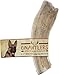 Pet Parents Gnawtlers-Premium Deer Antlers for Dogs, Naturally Shed Deer Antlers, All Natural Deer Antler Dog Chew, Selected from The Heartland Region (Large, 1 Count)