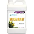 SILICA BLAST 1GAL
