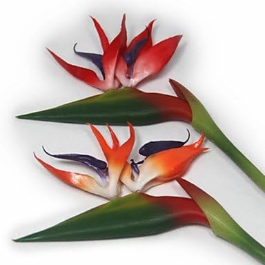 Habe European Bird Of Paradise Plastic Plants Artificial Flowers , yellow