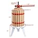 Costzon Fruit Wine Press, 1.6 Gallon /6 Liter Solid Wood Basket, Cider Apple Grape Crusher for Kitchen, Juice Make