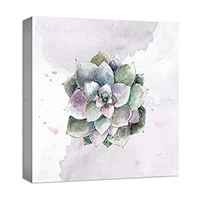Canvas Wall Art for Living Room,Bedroom Home Artwork Paintings Succulent Ready to Hang - 12x12 inches