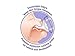Lansinoh Momma Breastmilk Feeding Bottle with NaturalWave Nipple, 1 Count, 8 Ounce, Medium Flow Nipple, Soft Silicone Nipple, Collapse Resistant, Anti-Colic, BPS and BPA Free