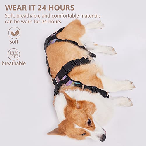 Coodeo Dog Lift Harness, Full Body Support & Recovery Sling, Pet Rear