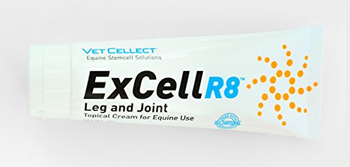 ExCellR8 Horse Leg and Joint Anti Inflammatory Topical Cream for Equine Athletes in a 4 Ounce Tube