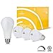 Smart Light Bulb, Smart Wi-Fi LED Bulb Glass Vintage Edison Light, A19, Dimmable, Soft White 2700K, No Hub Required, Compatible with Alexa and Google Assistant, 2 Pack