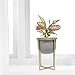 Cement Flower Pot with Stand - 6.3 Inch Tabletop Planter, Grey Herbs Orchids Cacti Succulents Pot Indoor with Gold Metal Stand