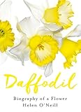 Daffodil by 