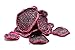 Food to Live Organic Dried Red Dragon Fruit, 8 Ounces - Pitahaya, Non-GMO, Kosher, Unsweetened, Unsulfured, Healthy Snack, Bulk