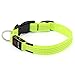 BSeen LED Dog Collar Nylon Webbing USB Rechargeable with 3 Reflective Strings Glowing Pet Safety Collars with Adjustable Buckle & D-Ring for Small Medium Large Dogs (Large, Neon Green)