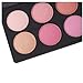 ReNext Professional 10 Color Makeup Cosmetic Blush Blusher