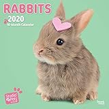 Rabbits 2020 Square Wall Calendar (Studio Pets) by