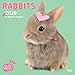 Rabbits 2020 Square Wall Calendar (Studio Pets) by