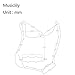 Musiclily 10 Hole J Bass Pickguard JB Bass Pick Guard Scratch Plate for 4 String Fender American/Mexican Standard Modern Style Jazz Bass, 4Ply Tortoise Shell