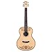 Cordoba Guitars Coco x Cordoba Guitar SP/MH Disney/Pixar Acoustic Guitar