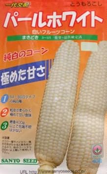 Amazon 山陽種苗 白いフルーツコーンパールホワイト 中早生84 86日型とうもろこし春まき 40粒 野菜