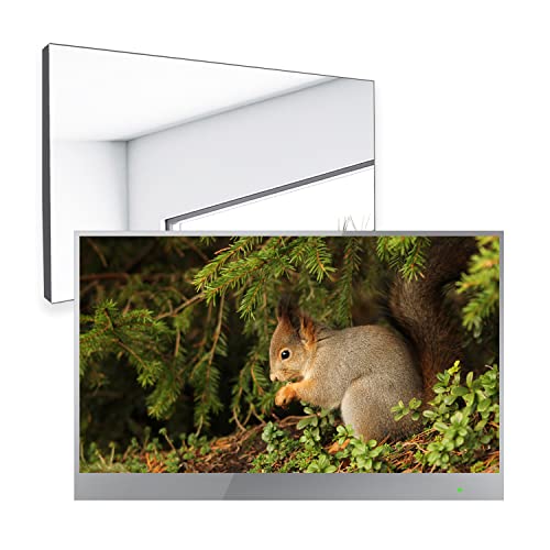 Soulaca 22 Inch Smart LED Bathroom Mirror TV,WebOS 1080P Waterproof with Wi-Fi and Bluetooth Built-in Speaker 2026