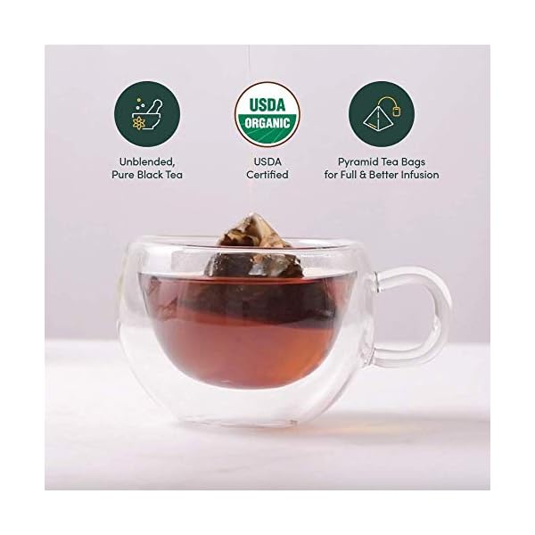 VAHDAM, Darjeeling Schwarz Tee (100 Teebeutel) Mittleres Koffein Tee | 100% Reine Unvermischte Darjeeling Teebeutel Aus Indien | Brau HeiÃ, Eis oder Kombucha Tee – Bild 4