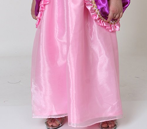 Storybook Wishes Pink Rapunzel Dress Size 4/6