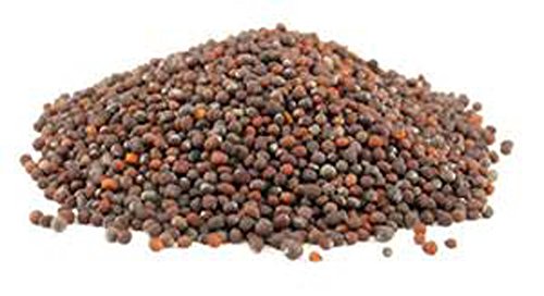 "COOL BEANS n SPROUTS" Brand Broccoli Seeds for Sprouting Microgreens, 8 oz Bag,A superfood packed with antioxidants and health-promoting nutrients. A small town family run USA business.Thank you ! - Thumbnail 4