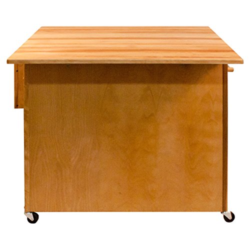 Catskill Craftsmen Deep Island with Flat Panel Doors and Drop Leaf