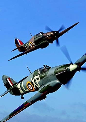 Hawker Hurricane Survivors: A Complete Catalogue of Every Existing Hurricane Worldwide Hardcover – Illustrated, 28 Sept. 2015