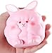 Felix and Wise Bunny Rabbit Squishy / Softest, Delicate Smelling Slow Rising Kawaii / Creamy Scented and Non-Toxic - Stress Relief Toy and Sensory Toy for Sensitive Kids