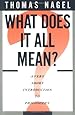 What Does It All Mean?: A Very Short Introduction to Philosophy