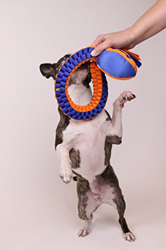 nerf dog vortex