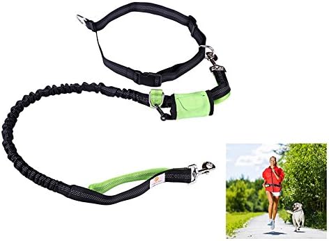 Hands Free Dog Leash for Walking, Jogging, Running &amp; Hiking - Snagle Paw Waist Belt Leash for Medium and Large Dogs, Durable Dual-handle and Shock Absorbing Bungee, Bonus Poop Bag Dispenser