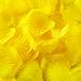 Super Z Outlet Silk Fabric Flower Mini Rose Petals for Weddings (1000 Pieces) (Yellow)