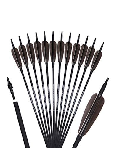 AMEYXGS Flèches Chasse Carbone 30 Pouces - Spine 500 - Plumes Turquie 4 Pouces - Pour Arc Recurve/Compound