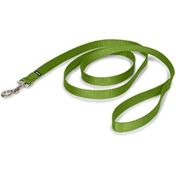 PetSafe Leash, 3/4