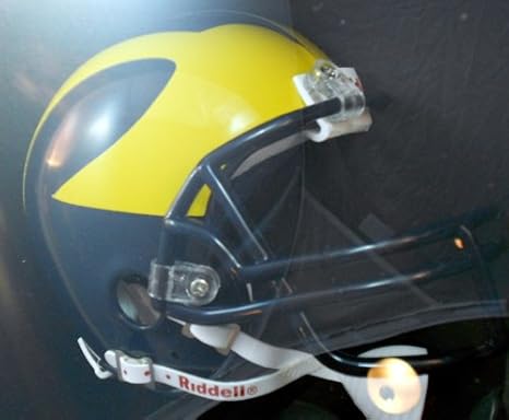 Amazon.com: Michigan Notre Dame bajo las luces fútbol 3d ...