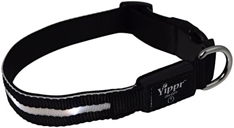 Yippr Classic LED Dog Collar USB Rechargeable Led Lighted Dog Collar with 4 Settings - Increase Visibility, Safety Collar, Night Use with Ultra Bright Blinking, Light Up Nylon Flashing Pet Collar