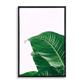 Framed Canvas Wall Art Green Plants Canvas Prints Home Artwork Decoration for Living Room,Bedroom - 16x24 inches