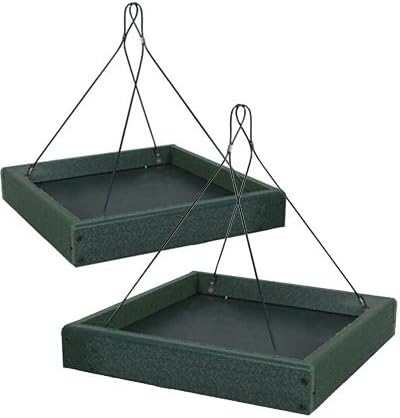Amazon Com Bestnest Two Pack Of Audubon Recycled Plastic