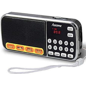 Amazon.com: Avantree Portable FM Radio with Bluetooth Speaker and SD