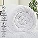 Comforter Soft Goose Down Alternative Duvet Insert Warm Winter 2100 Series Quilt with Corner Tab for All Season, Prima Microfiber Filled (White, Queen-1)