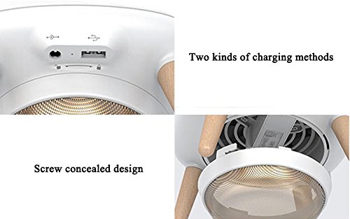 image for Preeyawadee 2-in-1 USB Powered Mosquito Killer Table Lamp Atmosphere L