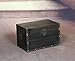 Vintiquewise(TM) Decorative Leather Wooden Trunk/Box