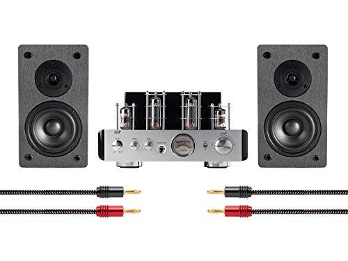 Monoprice 113807 Stereo Tube Amp System with Bluetooth & Speakers