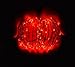 100 Fairy String LED Lights - Indoor/Outdoor, Waterproof, Flexible Copper Wire with USB 33 Ft/10M (Red)