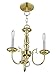 Livex Lighting 5013-02 Williamsburg 3 Light POLISHED BRASS Hanging Lantern / Flush Mount Mini Chandelier.