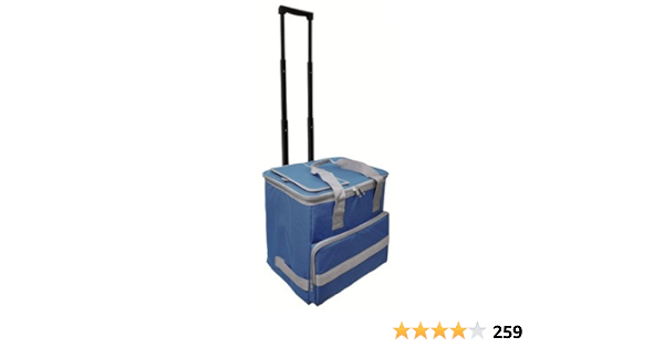 Nevera Bolsa Termica 38 litros Azul Trolley : Amazon.es: Hogar ...